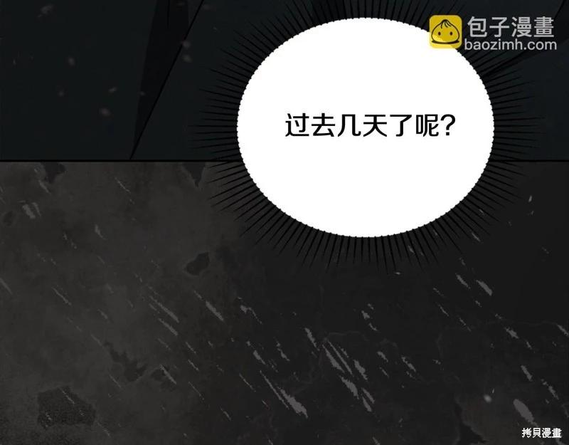 第 238 页