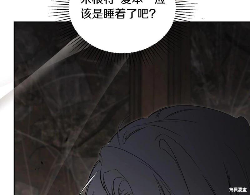 第 243 页