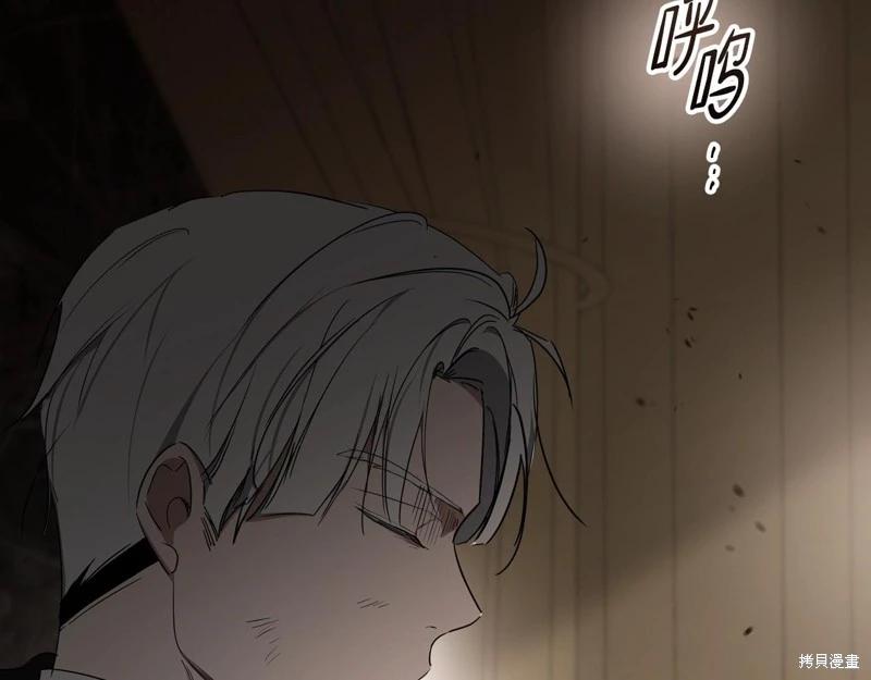 第 254 页