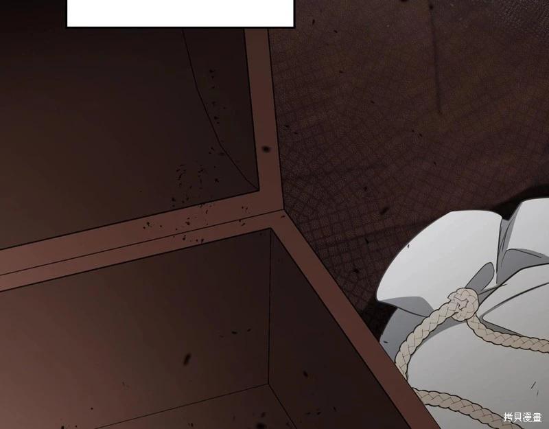 第 260 页