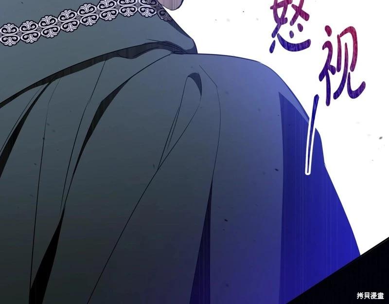 第 111 页