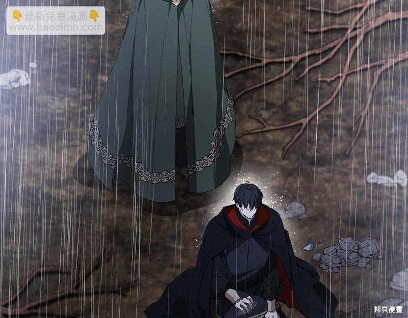 第 119 页