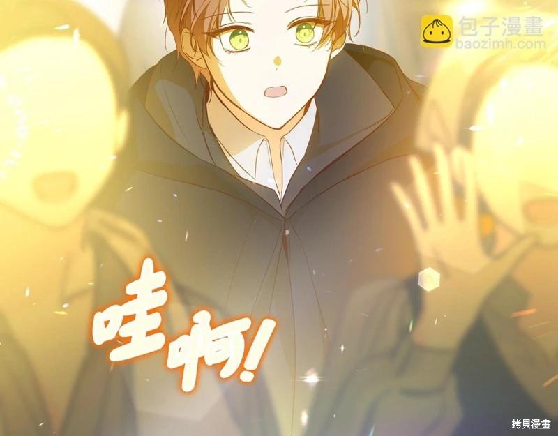 第 201 页
