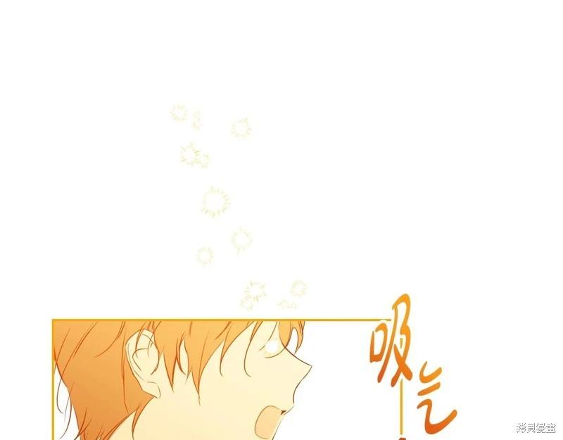第 203 页