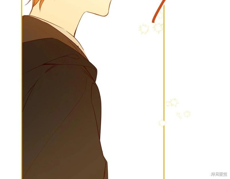 第 204 页