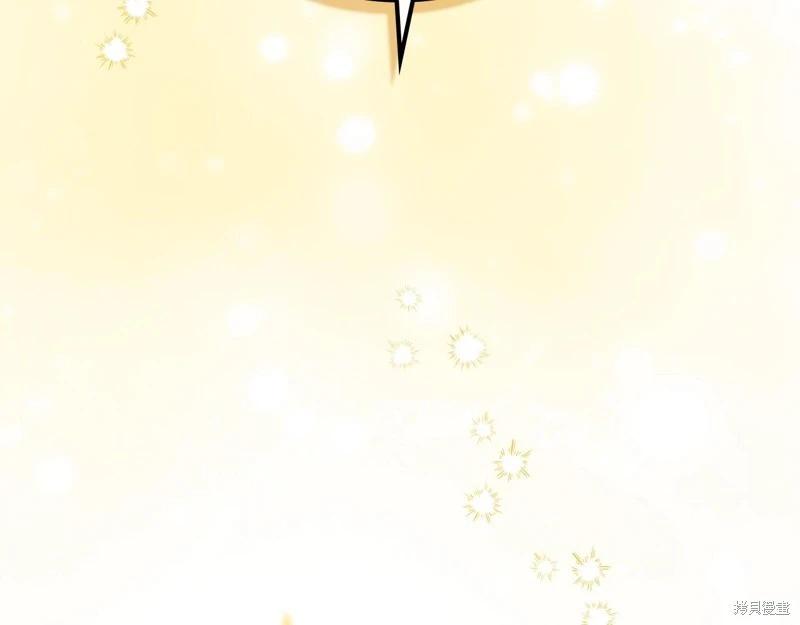 第 207 页