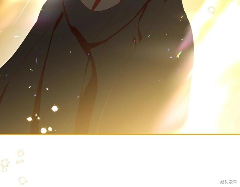 第 209 页