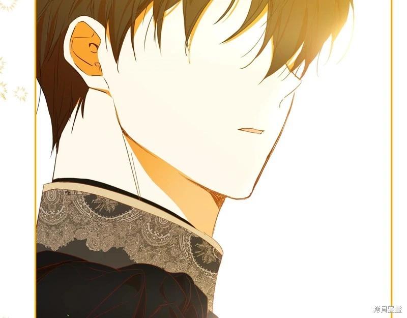第 211 页