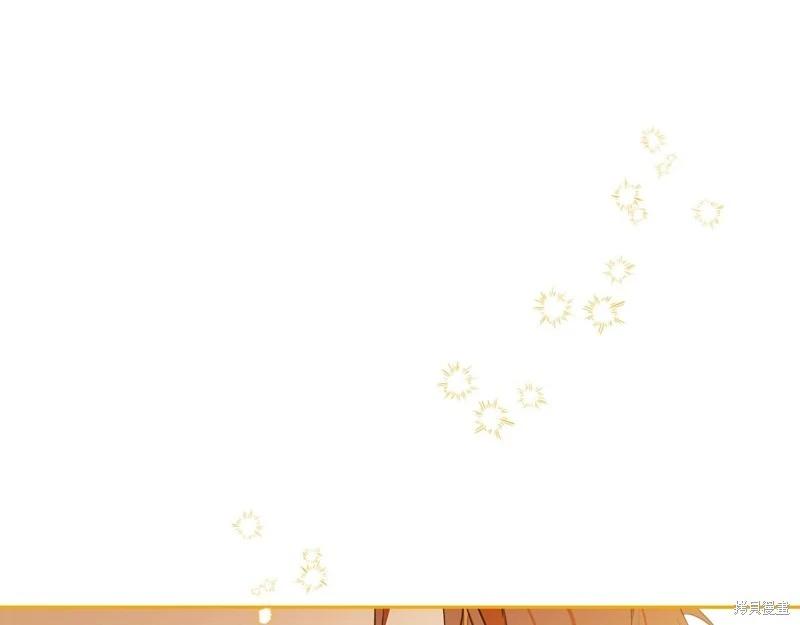 第 213 页