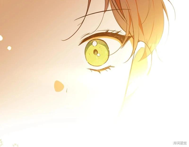第 214 页