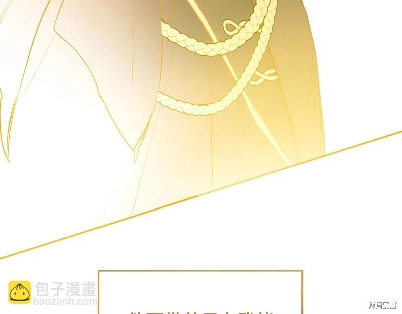 第 219 页