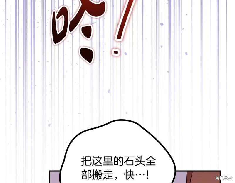 第 237 页