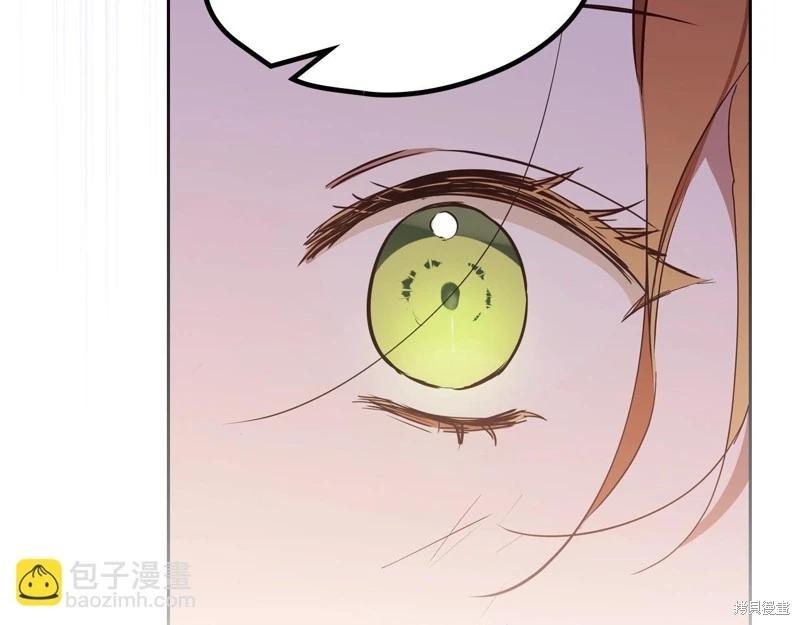 第 238 页