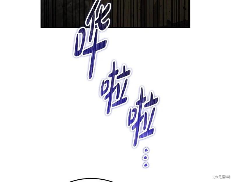 第 243 页