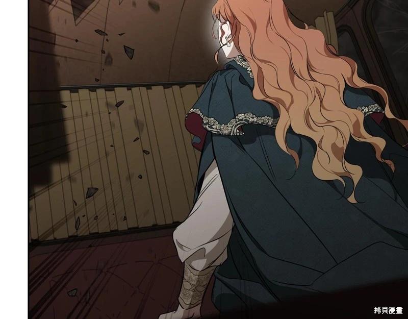 第 245 页