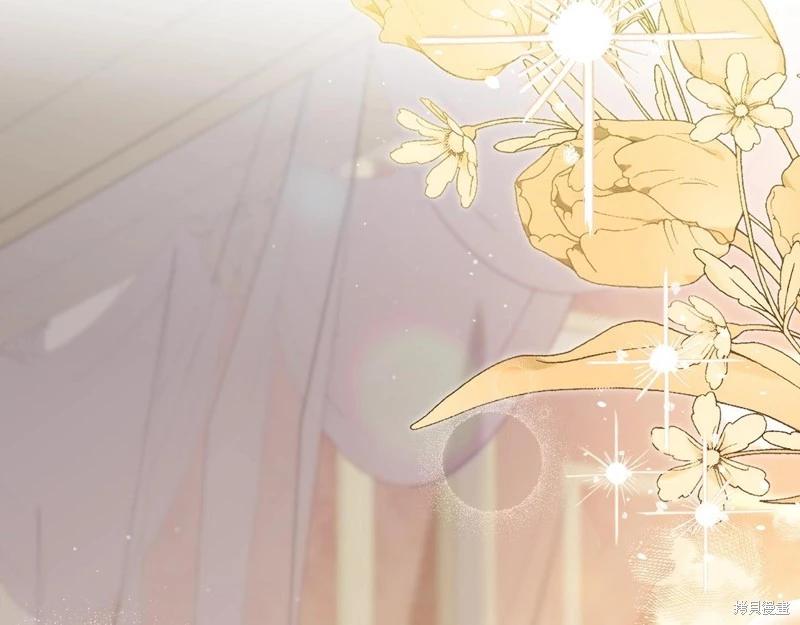 第 151 页