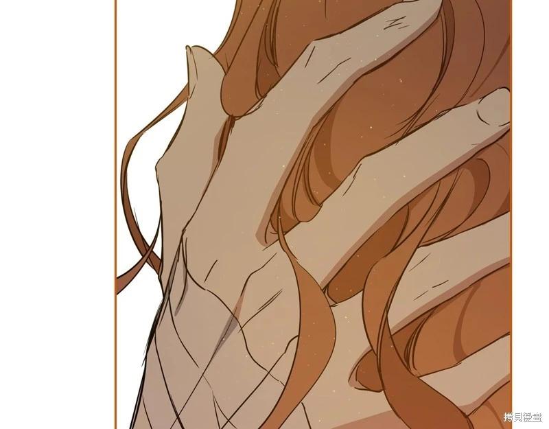 第 195 页
