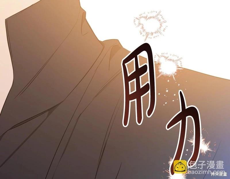 第 204 页