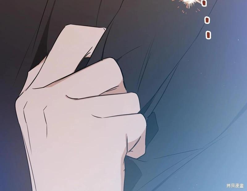 第 205 页