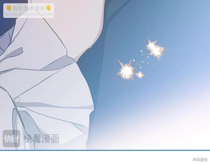 第 206 页