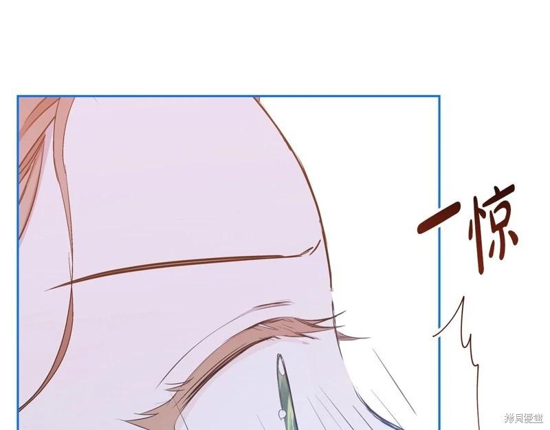第 207 页