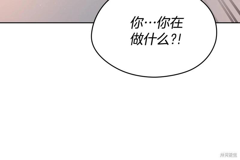 第 213 页