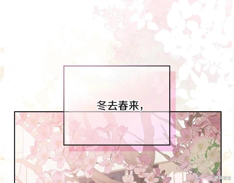 第 238 页
