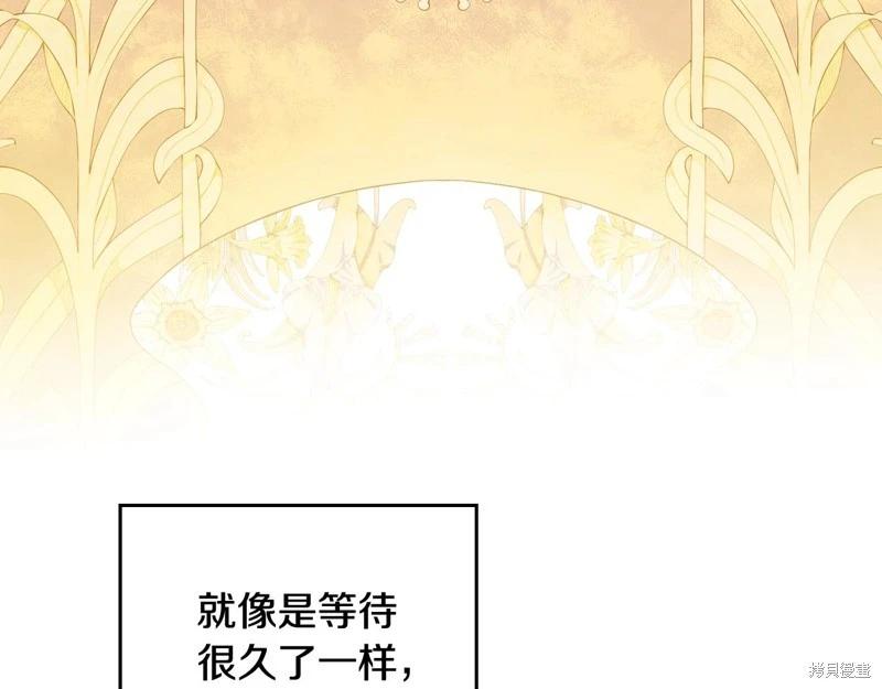 第 243 页