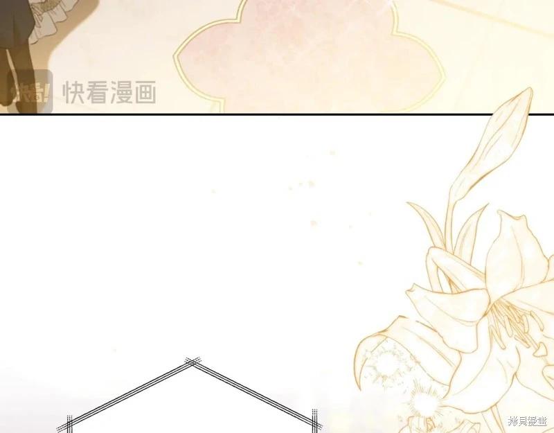 第 249 页