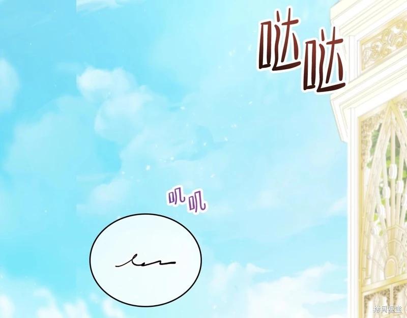 第 213 页