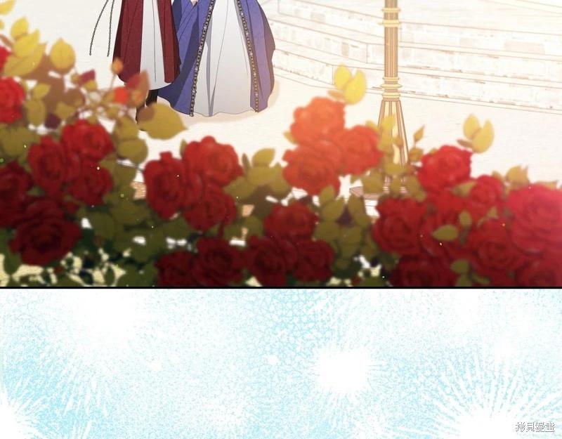 第 215 页