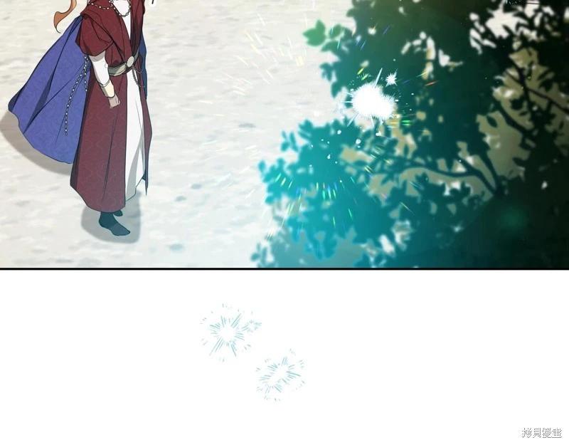第 224 页