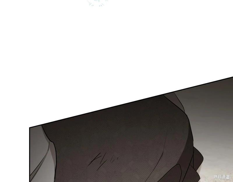 第 233 页