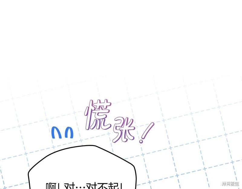 第 243 页