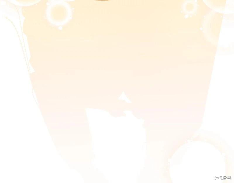 第 256 页