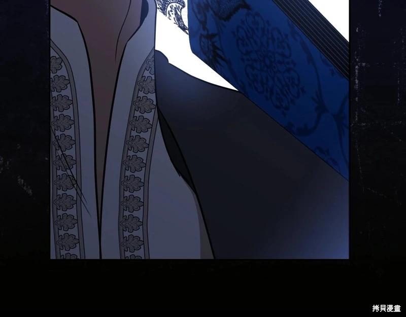 第 219 页