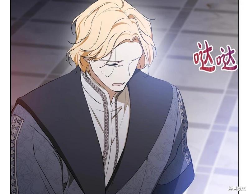 第 247 页