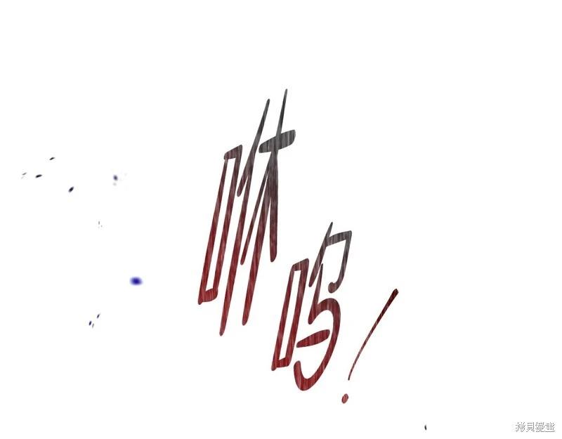第 249 页
