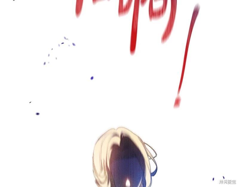 第 251 页