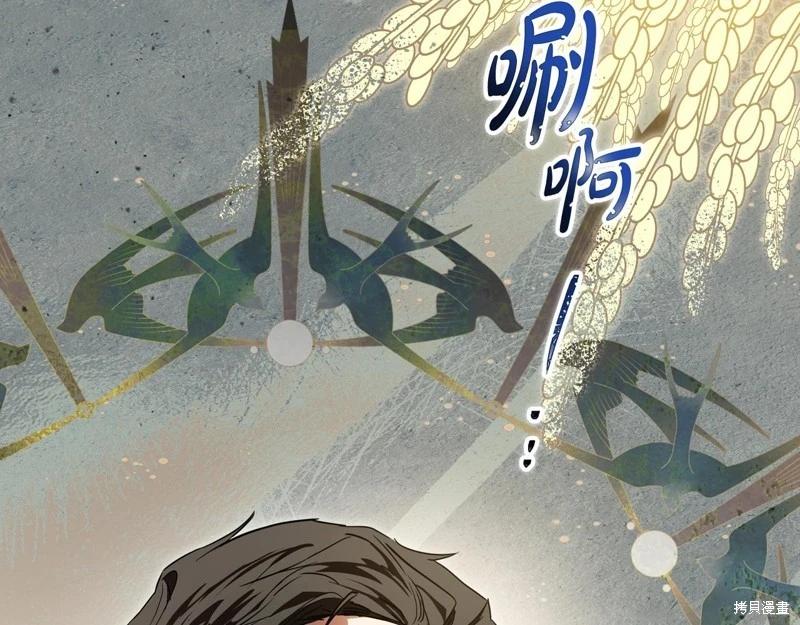 第 213 页