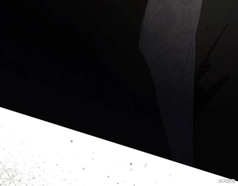 第 216 页