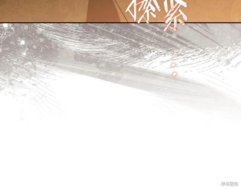 第 235 页