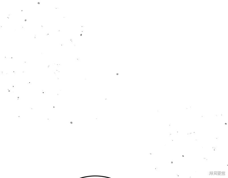 第 241 页