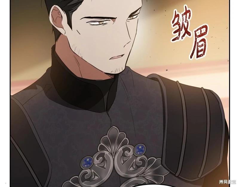 第 243 页