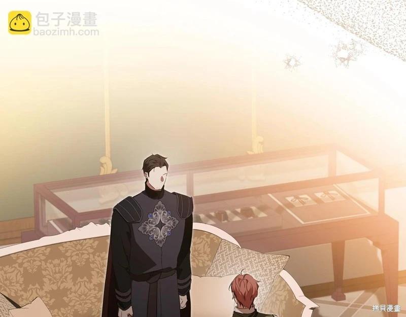 第 247 页