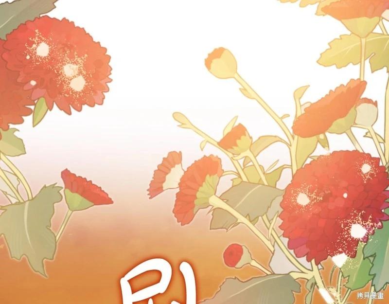 第 201 页