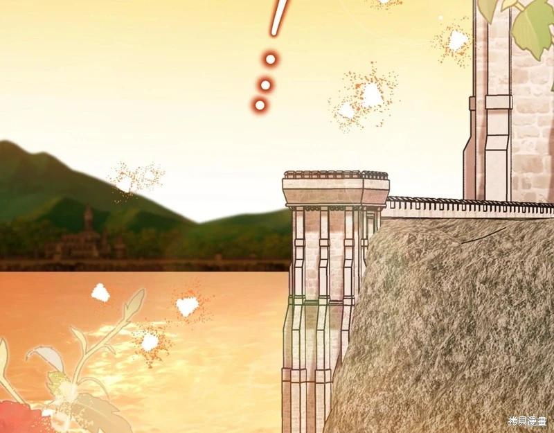 第 203 页