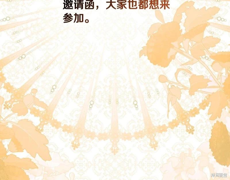 第 213 页