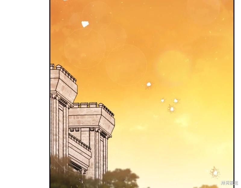 第 216 页