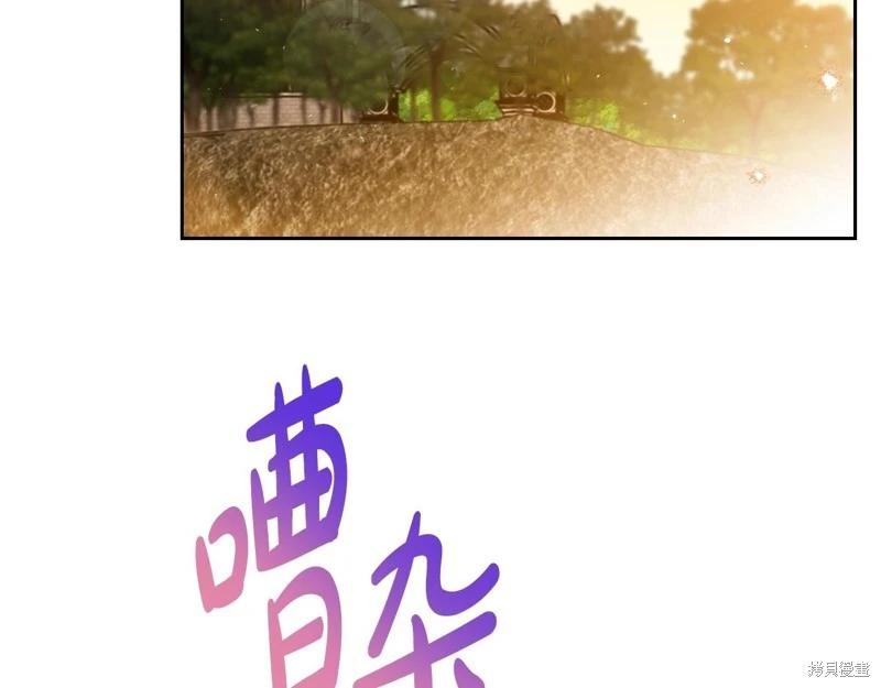 第 217 页